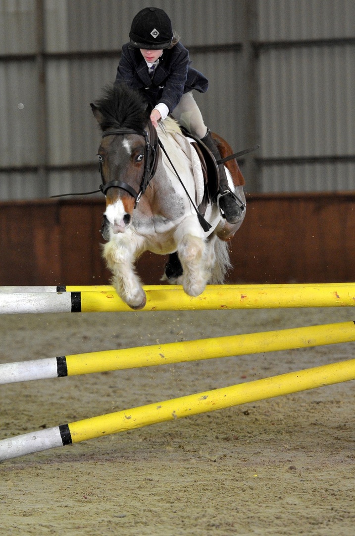White Rocks Farm, Sevenoaks | Western Riding Centre | Animal Filmwork ...